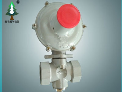 家用天然氣使用常識&燃?xì)獍踩氈? />
</a>
<span><a href=